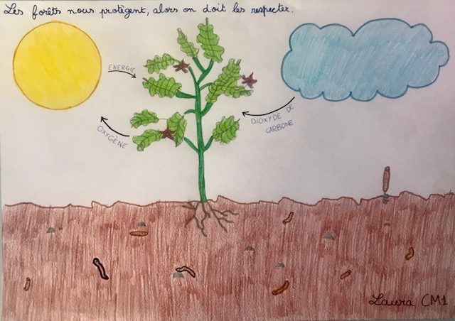 Des élèves solidaires et mobilisés.
